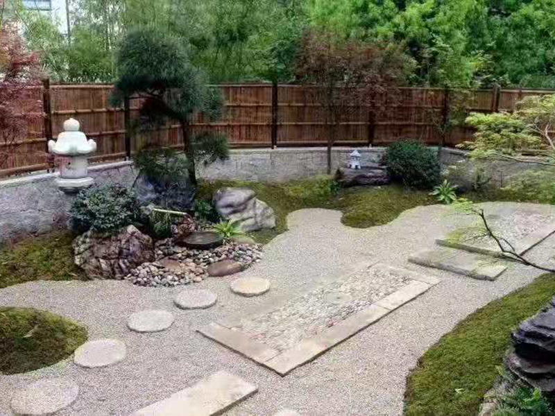 爱游戏全站:汾阳市栗家庄造林美化再动身